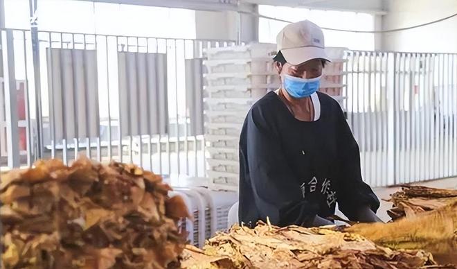 千亿市场惊动中美合作抓捕行动！AG真人国际福建小县城假烟泛滥(图3)