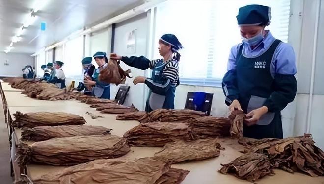 千亿市场惊动中美合作抓捕行动！AG真人国际福建小县城假烟泛滥(图8)
