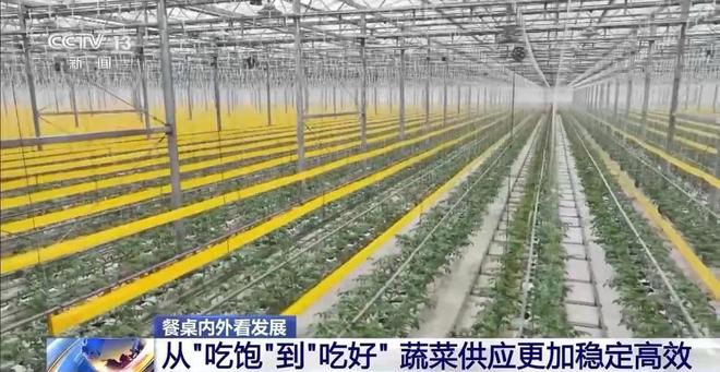 事从餐桌内外看我国多元化食物供给AG真人登录入口“吃”是头等大(图6)