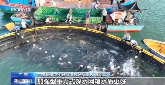 事从餐桌内外看我国多元化食物供给AG真人登录入口“吃”是头等大(图3)