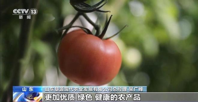 事从餐桌内外看我国多元化食物供给AG真人