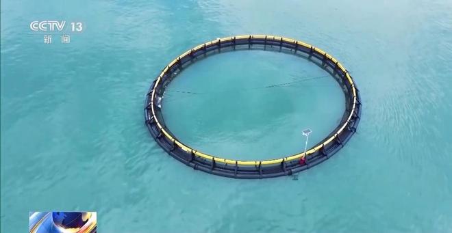 事从餐桌内外看我国多元化食物供给AG真人登录入口“吃”是头等大(图8)