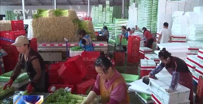 事从餐桌内外看我国多元化食物供给AG真人登录入口“吃”是头等大(图9)