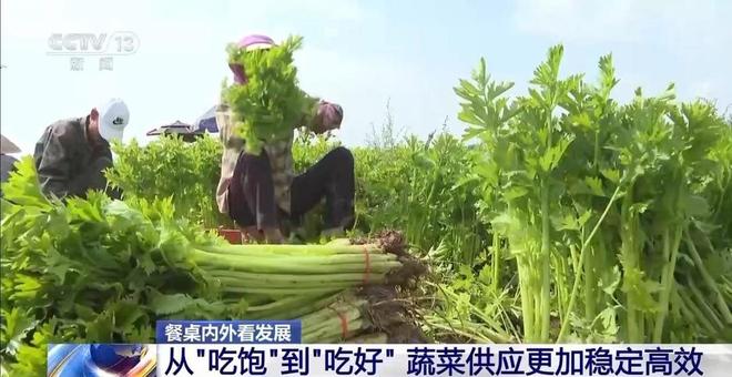 事从餐桌内外看我国多元化食物供给AG真人登录入口“吃”是头等大(图10)